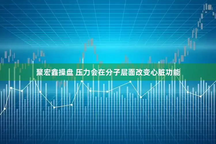 聚宏鑫操盘 压力会在分子层面改变心脏功能