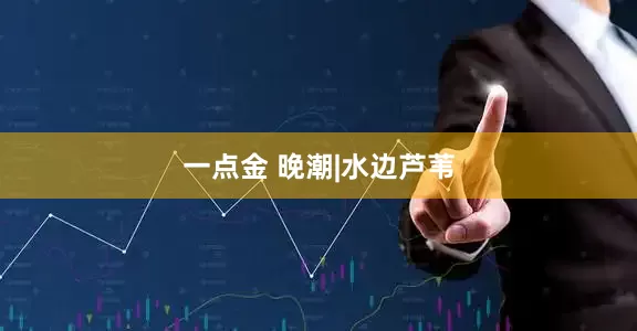 一点金 晚潮|水边芦苇